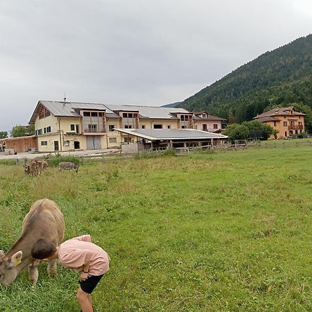 Maso Torbiera- Rural And Mountain Lodging Fiavè Buitenkant foto
