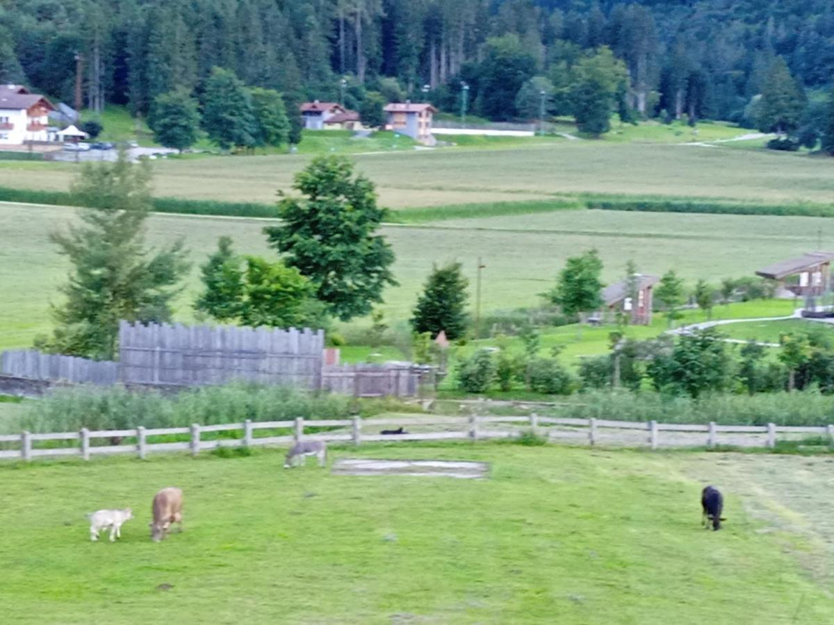 Maso Torbiera- Rural And Mountain Lodging Fiavè Buitenkant foto