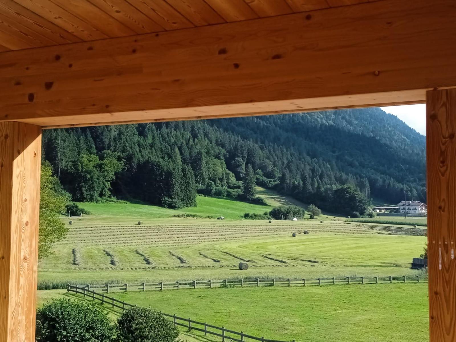 Maso Torbiera- Rural And Mountain Lodging Fiavè Buitenkant foto