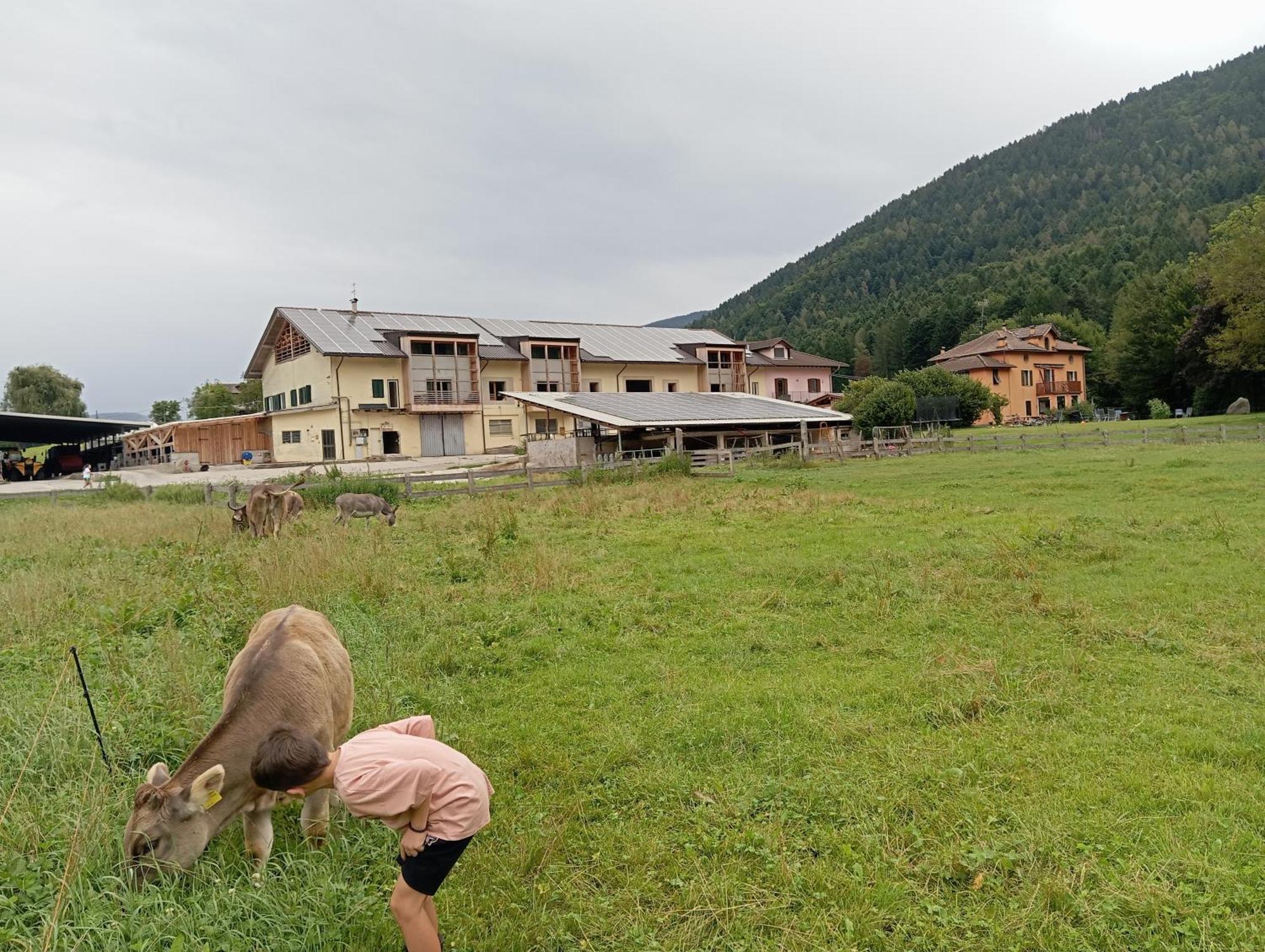 Maso Torbiera- Rural And Mountain Lodging Fiavè Buitenkant foto